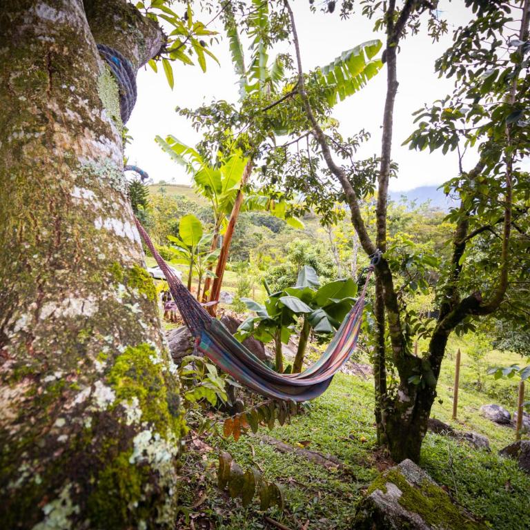 Hermosa Casa y Cabañas en Barbosa, Antioquia - Double Room with Park View - 6