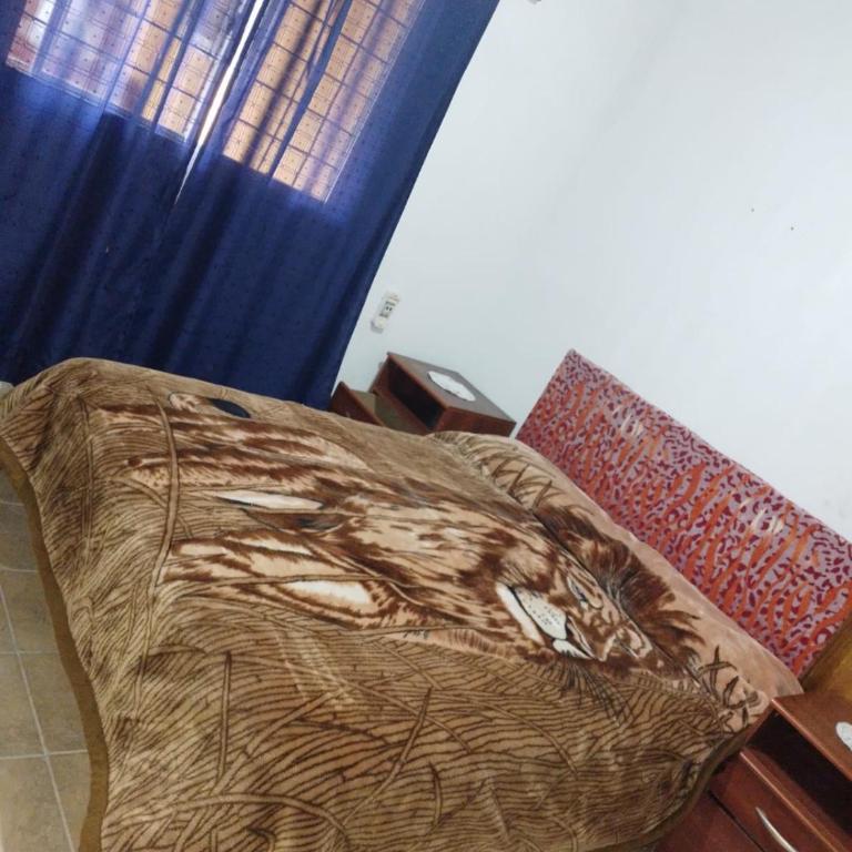 Nuestro Paraiso - Apartamento de 2 dormitorios - 7