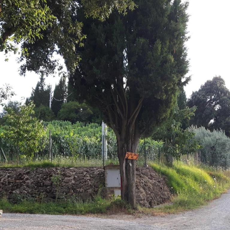 Agriturismo Villino del Grillo - Vacation Home - 4