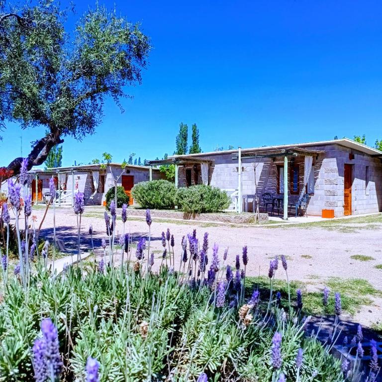 Nelumbo Petit Chalet - Bungalow - 3