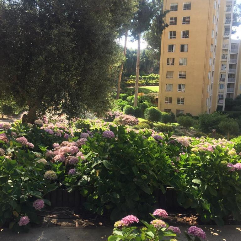 Ocean View Apartment in Family Complex - Two-Bedroom Apartment - 5