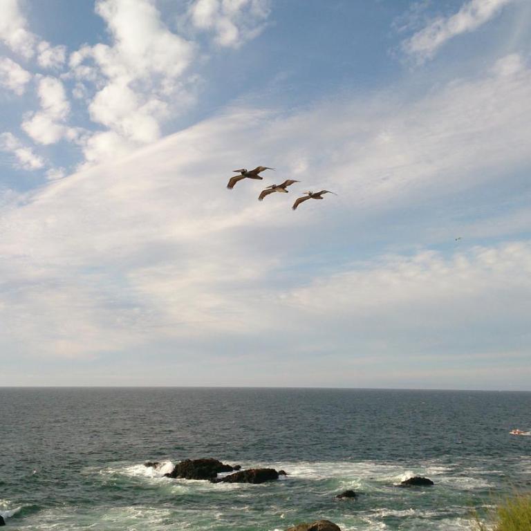 Concon vista al mar en Costa Lilenes hasta 6 personas - Two-Bedroom Apartment - 16