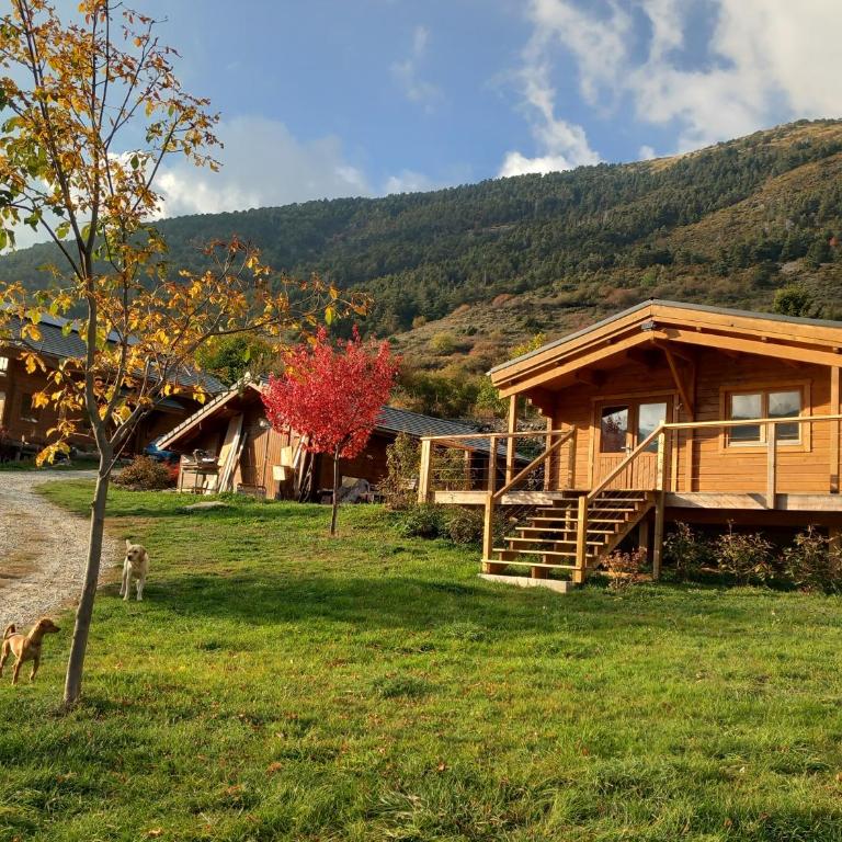 Le petit chalet - Chalet - 14