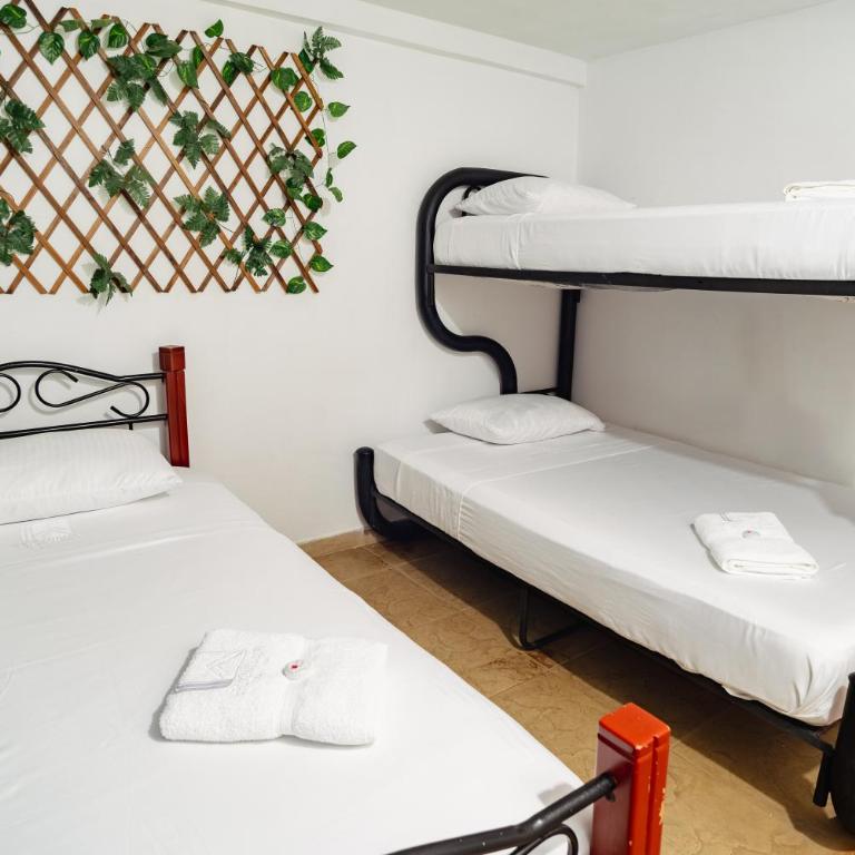 Ecovilla Cali - Villa de 2 dormitorios - 4