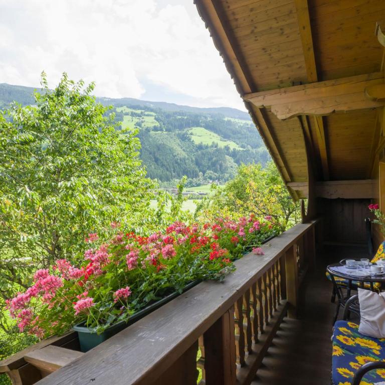 Ferienwohnungen Hauser Reinhilde - Apartment mit Blick auf die Berge - 24