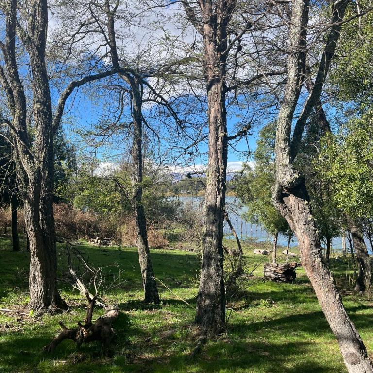 El Bosque - One-Bedroom House - 16