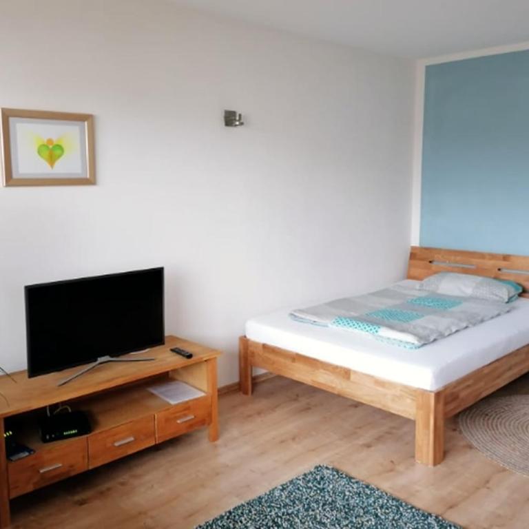 schöne Wohnung mit Balkon, zentrumnah - Apartment mit 1 Schlafzimmer - 1