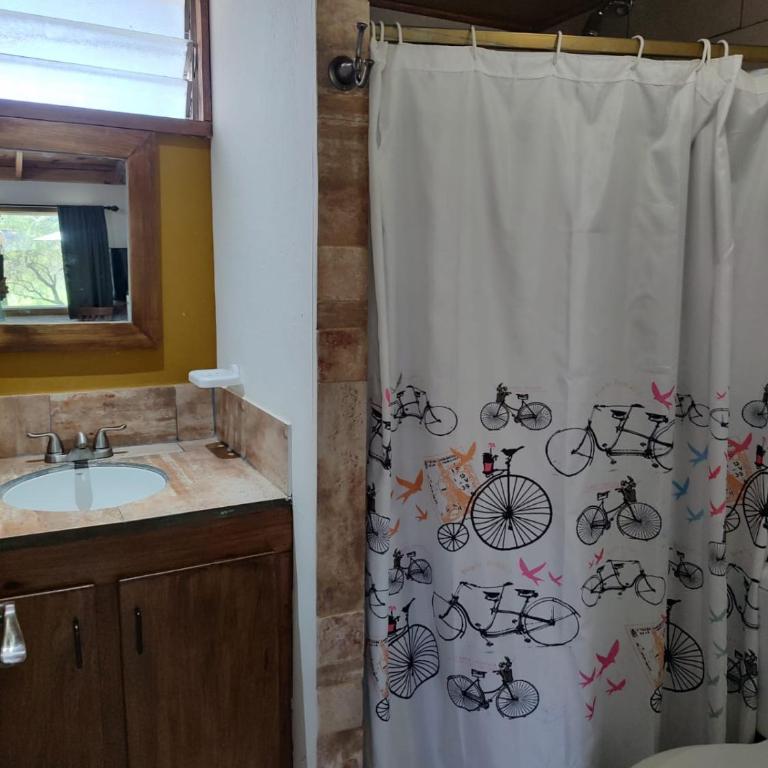 Bella Vista - Apartamento de 1 dormitorio - 2