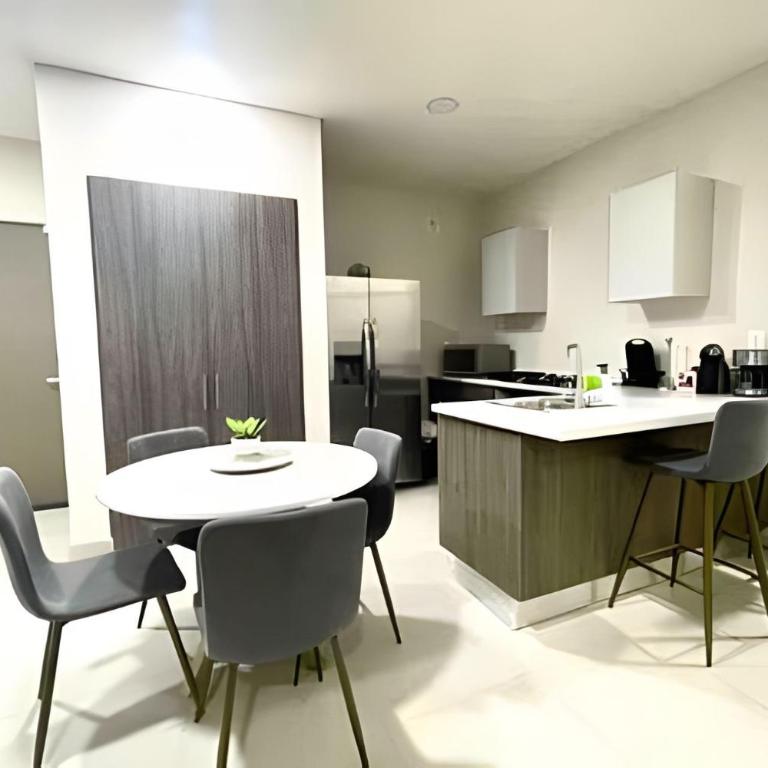 Luxury aprt in front of Fundidora Park, gym, BBQ. - Apartment - 45