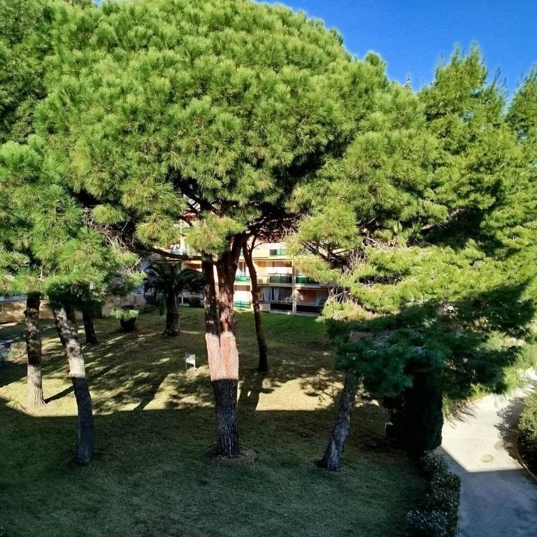 T2 climatisé avec garage, proche centre et plages - FR-1-610-113 - Apartamento - 12