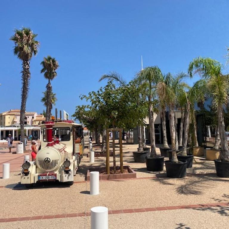 T2 Rez-de-Chaussée, Plage d'Argos, Piscine, Accès Direct Plage, Parking, 4 Pers, Port Leucate - FR-1-798-30 - Apartment - 12