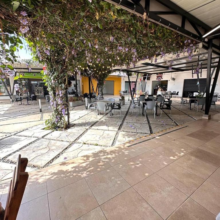 Apartahotel crucero plaza naturaleza y confort en Pereira - Apartamento de 2 dormitorios - 5