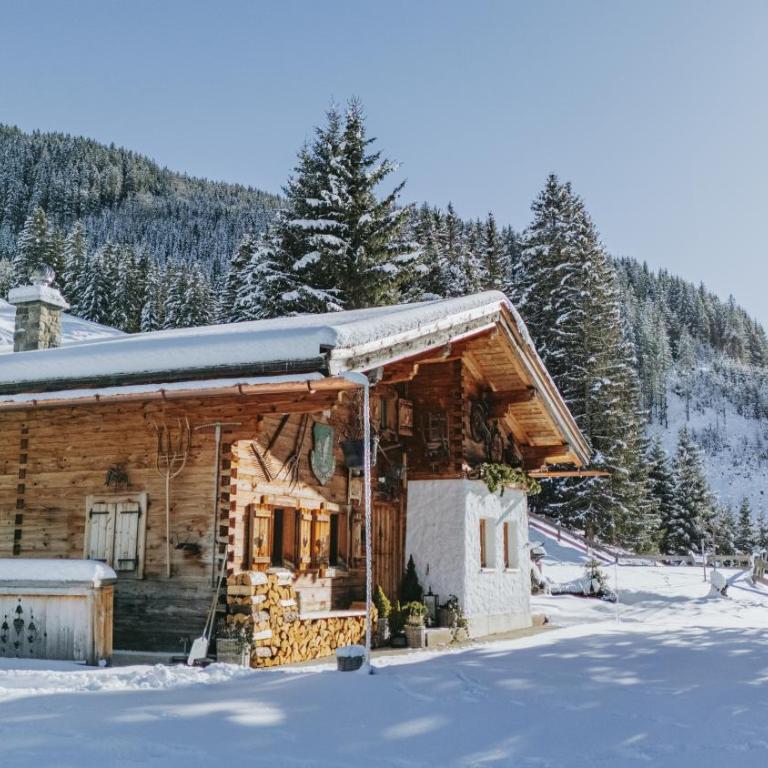 Buchegg Alm - Chalet con 3 Camere da Letto - 1