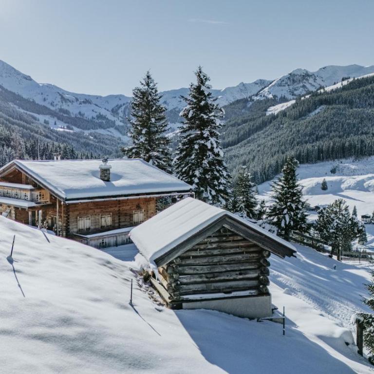 Buchegg Alm - Chalet con 3 Camere da Letto - 16
