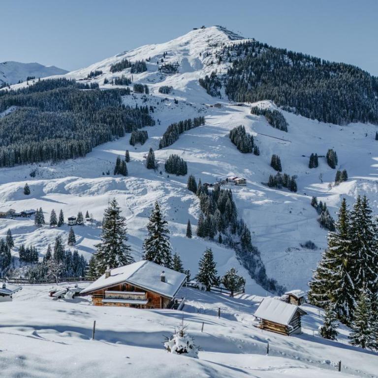 Buchegg Alm - Chalet con 3 Camere da Letto - 20