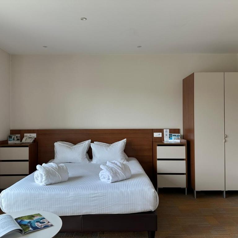 Hôtel Lyon Métropole & Spa - Appartement Familial (2 Adultes + 2 Enfants) - Accès au Spa et Piscine Non Inclus - 4