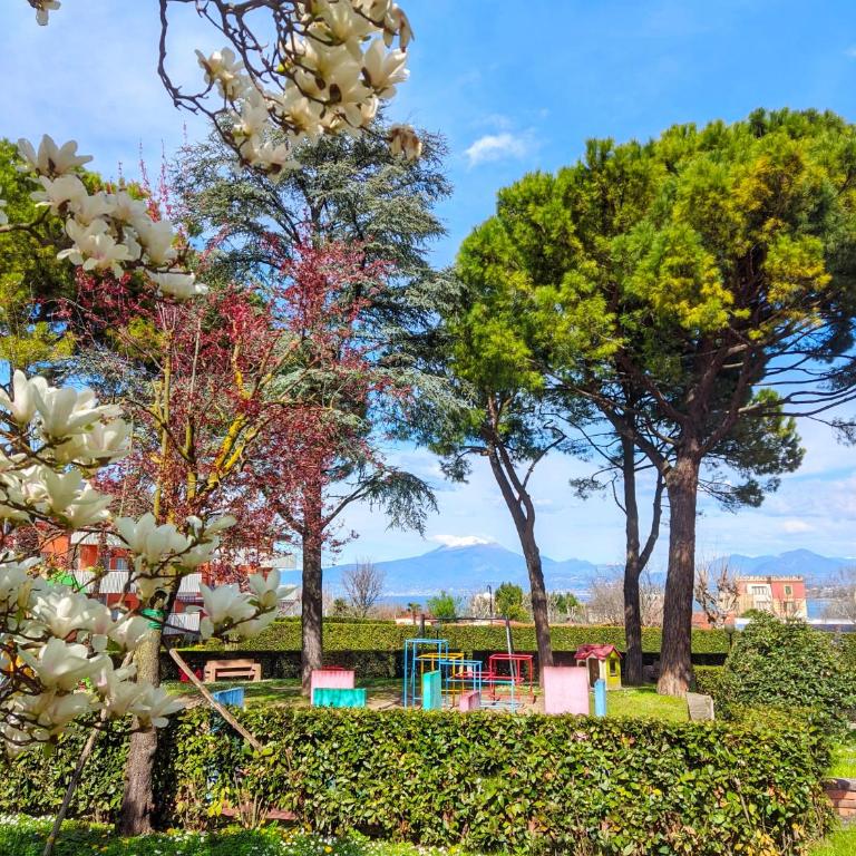Last Minute Booking - Appartamento al Piano Terra - 1