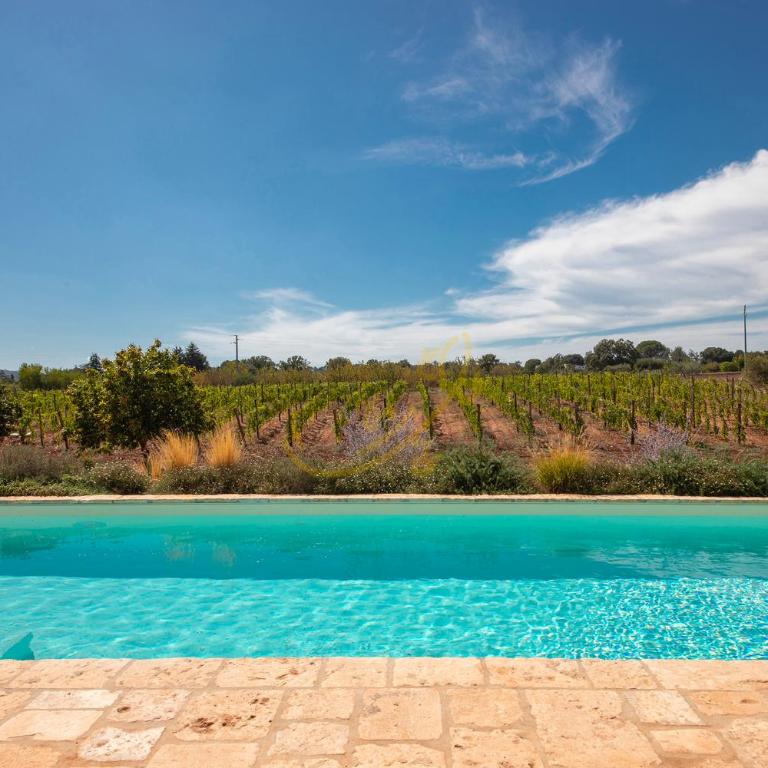 TD Trulli Perla Bianca Trulli w Pool Vineyards - Casa Vacanze - 2