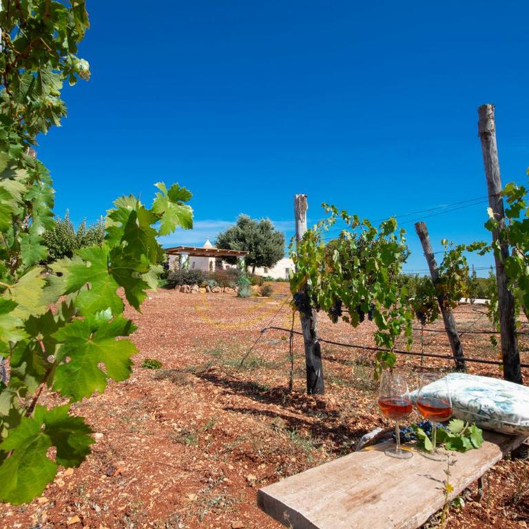 TD Trulli Perla Bianca Trulli w Pool Vineyards - Casa Vacanze - 45