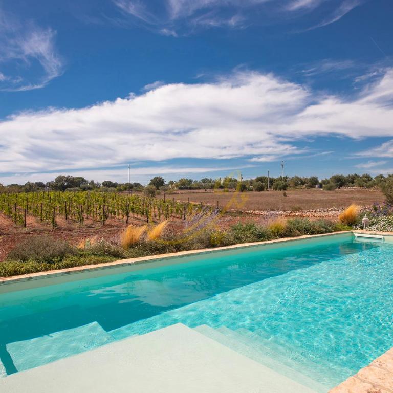 TD Trulli Perla Bianca Trulli w Pool Vineyards - Casa Vacanze - 37