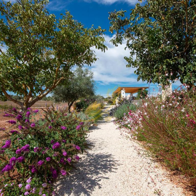 TD Trulli Perla Bianca Trulli w Pool Vineyards - Casa Vacanze - 43