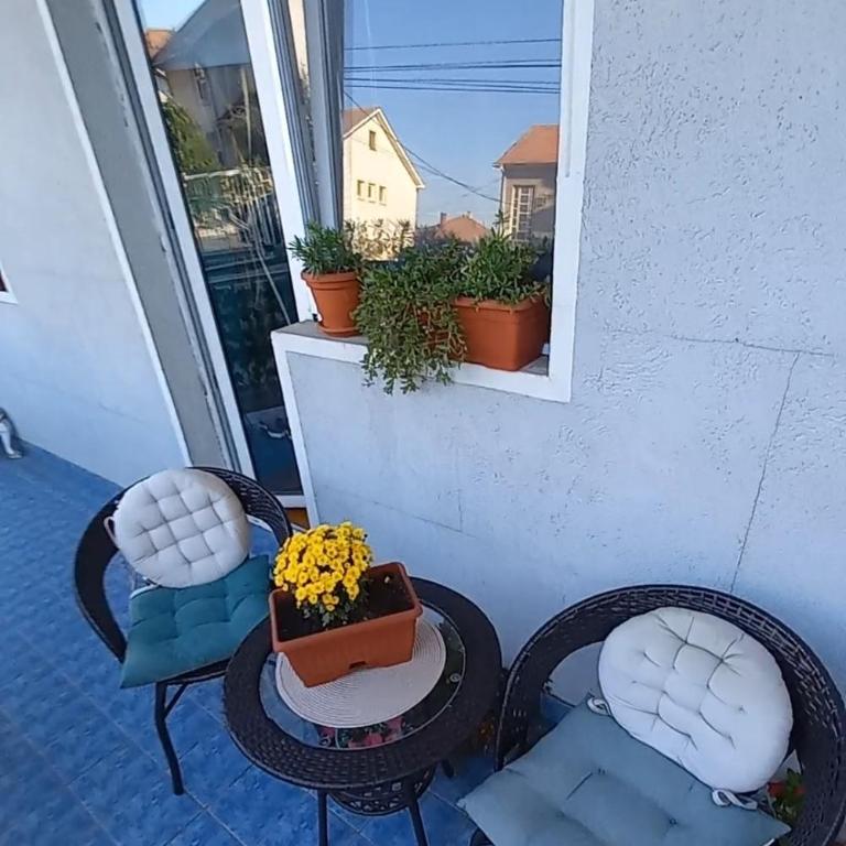 Urban Yard Retreat - One-Bedroom Apartment - 3