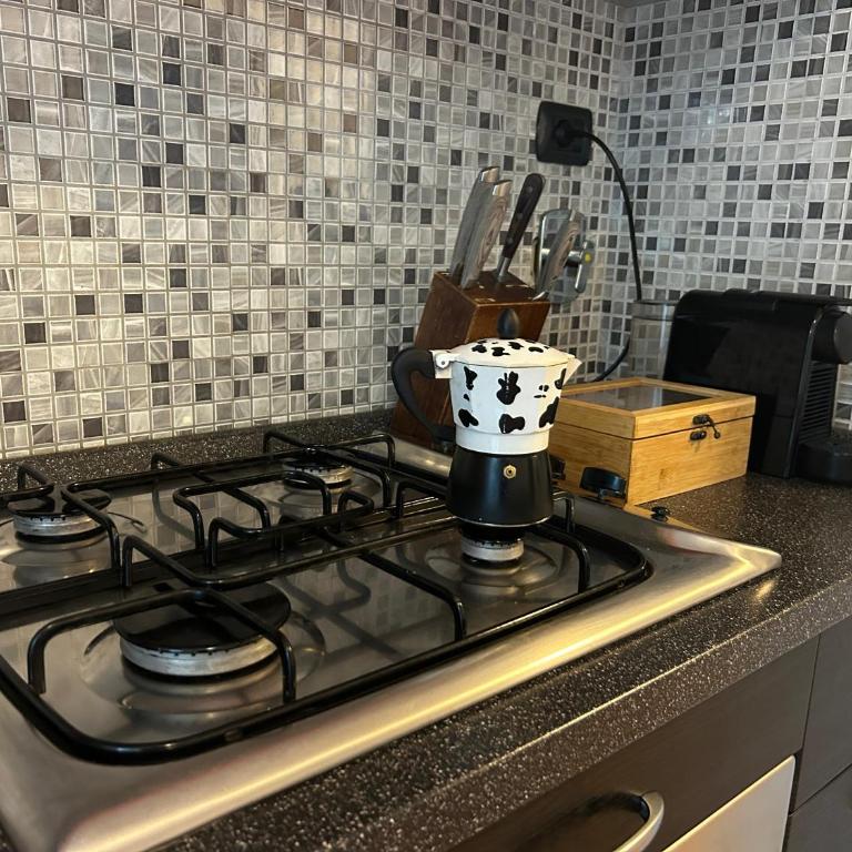 Appartamento Incantevole a 100metri dal mare e accanto alla Pista Ciclabile - Appartamento Deluxe con 1 Camera da Letto e Vista Giardino - 16