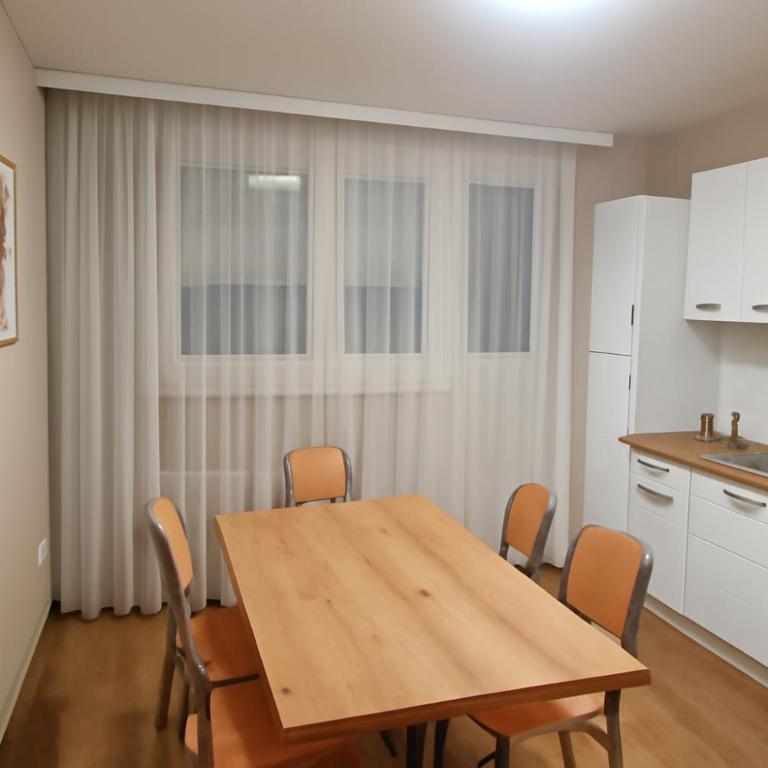 Apartman Beograd Banovo Brdo - lux dvosoban stan - Apartman s 2 Spavaće Sobe sa Balkonom i Terasom - 10