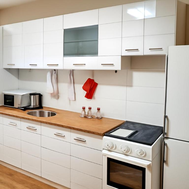 Apartman Beograd Banovo Brdo - lux dvosoban stan - Apartman s 2 Spavaće Sobe sa Balkonom i Terasom - 9