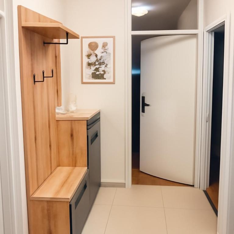 Apartman Beograd Banovo Brdo - lux dvosoban stan - Apartman s 2 Spavaće Sobe sa Balkonom i Terasom - 6