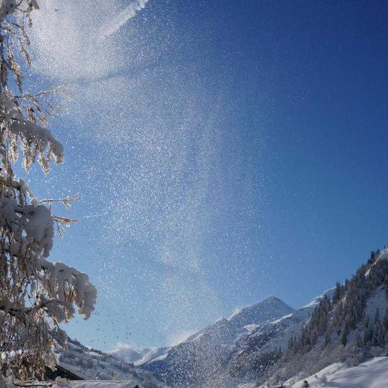 Ritterhof Apartment inkl Hohe Tauern Sommercard - Apartment mit 3 Schlafzimmern - 9