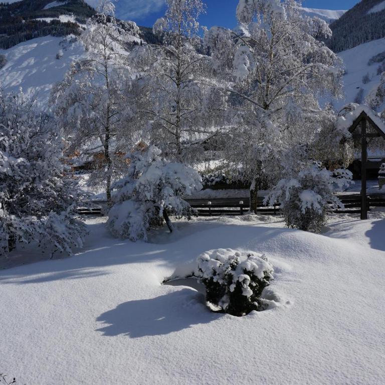Ritterhof Apartment inkl Hohe Tauern Sommercard - Apartment mit 3 Schlafzimmern - 6