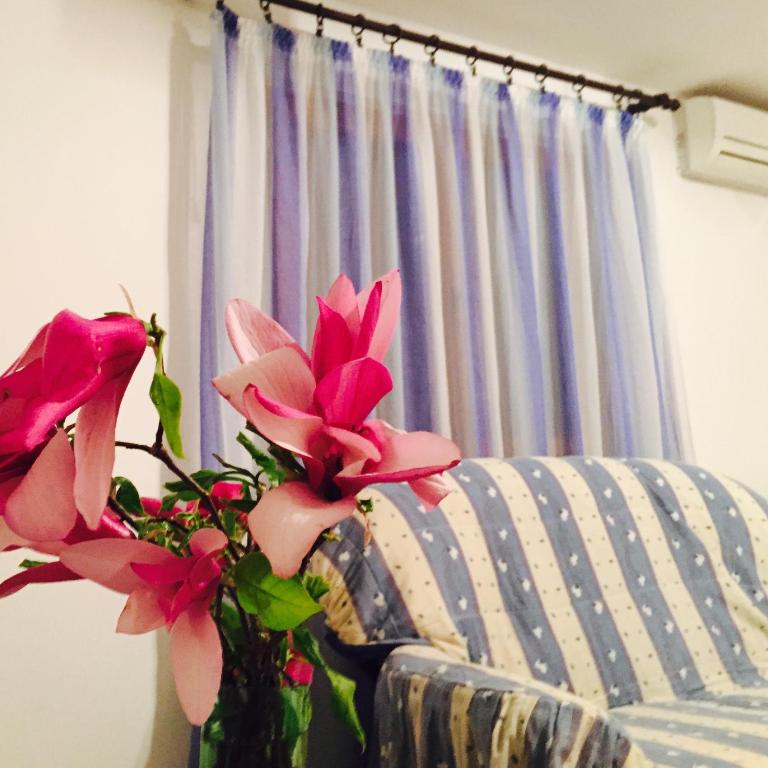 Apartmani Perić - Apartman sa Pogledom na More - 14