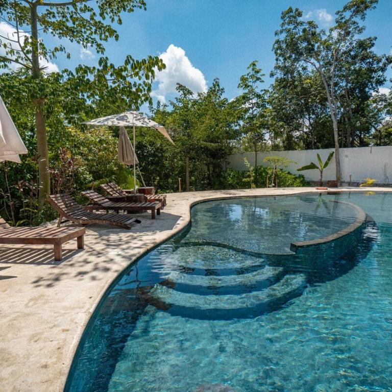 Jungle Heaven Penthouse - Apartamento de 2 dormitorios - 14