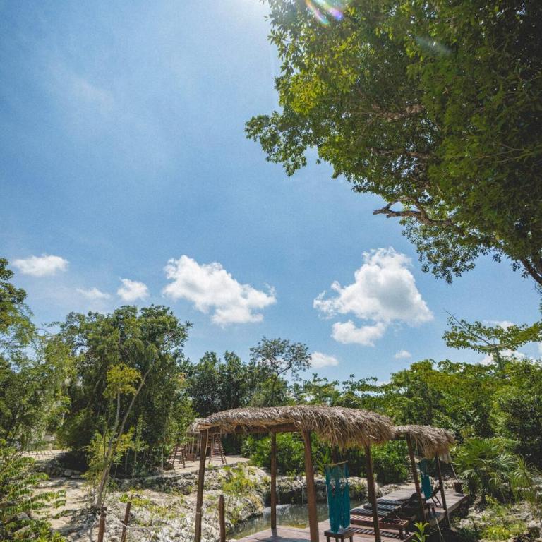 Jungle Heaven Penthouse - Apartamento de 2 dormitorios - 31