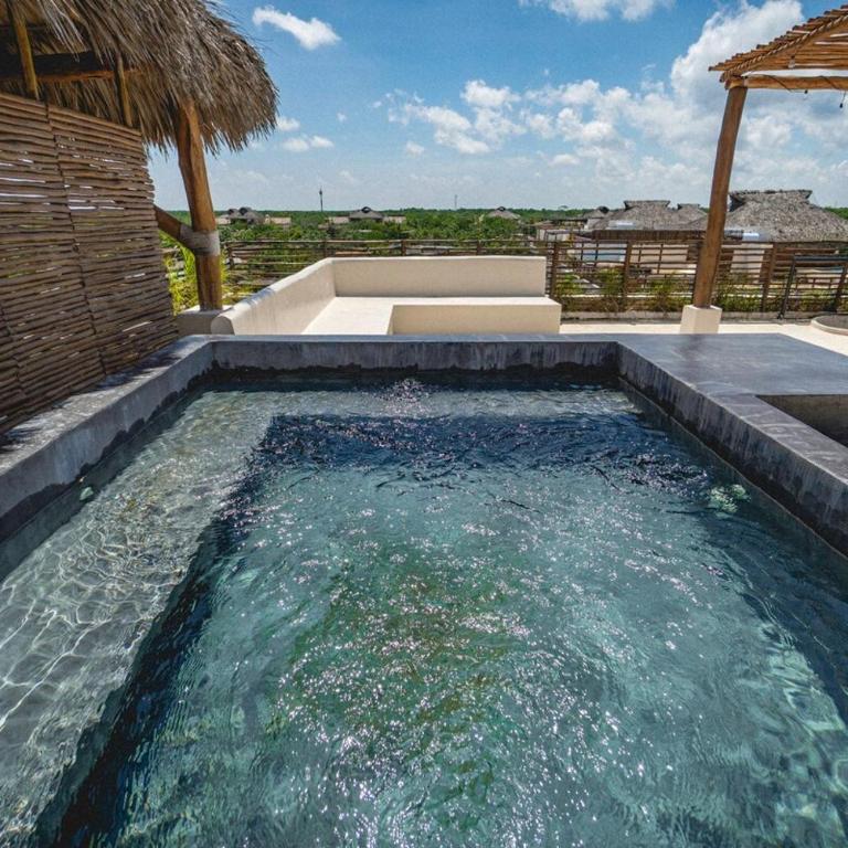 Jungle Heaven Penthouse - Apartamento de 2 dormitorios - 48