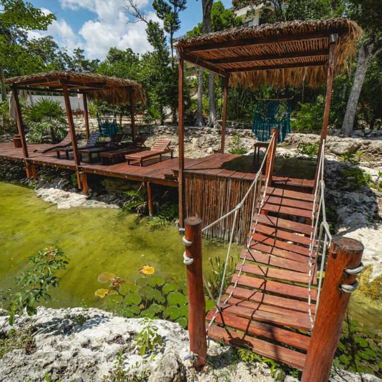 Jungle Heaven Penthouse - Apartamento de 2 dormitorios - 53