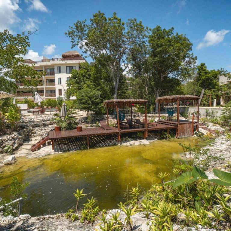 Jungle Heaven Penthouse - Apartamento de 2 dormitorios - 67