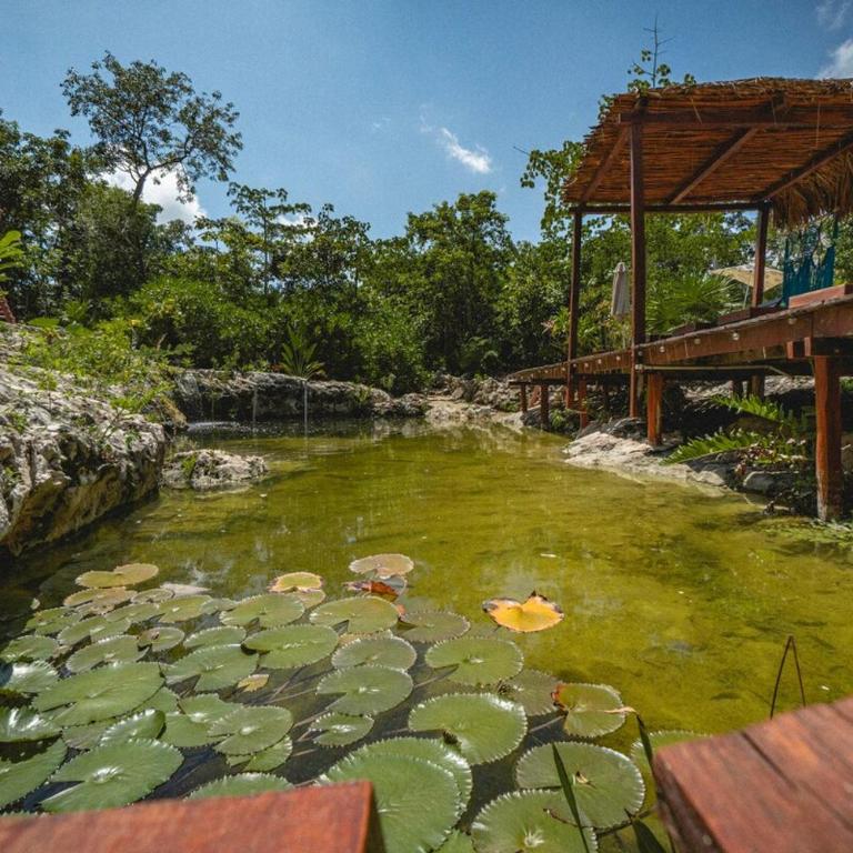 Jungle Heaven Penthouse - Apartamento de 2 dormitorios - 68