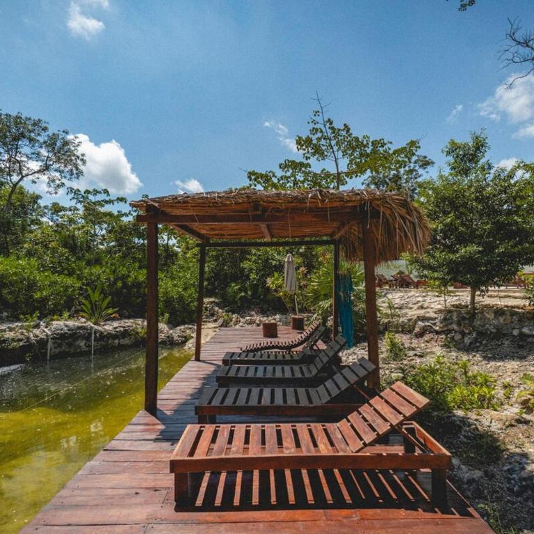 Jungle Heaven Penthouse - Apartamento de 2 dormitorios - 82