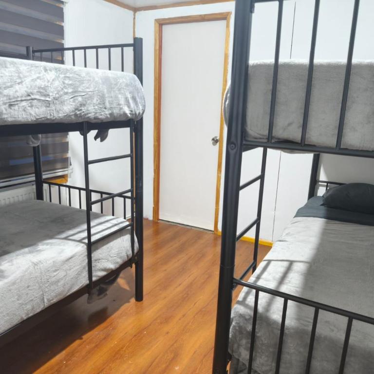 Vive Hostel - 4-Bed Mixed Dormitory Room - 1