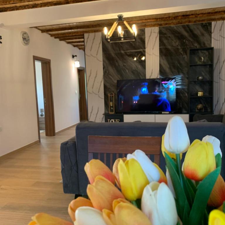 Braća Velić - Apartman sa 2 Spavaće Sobe - 5