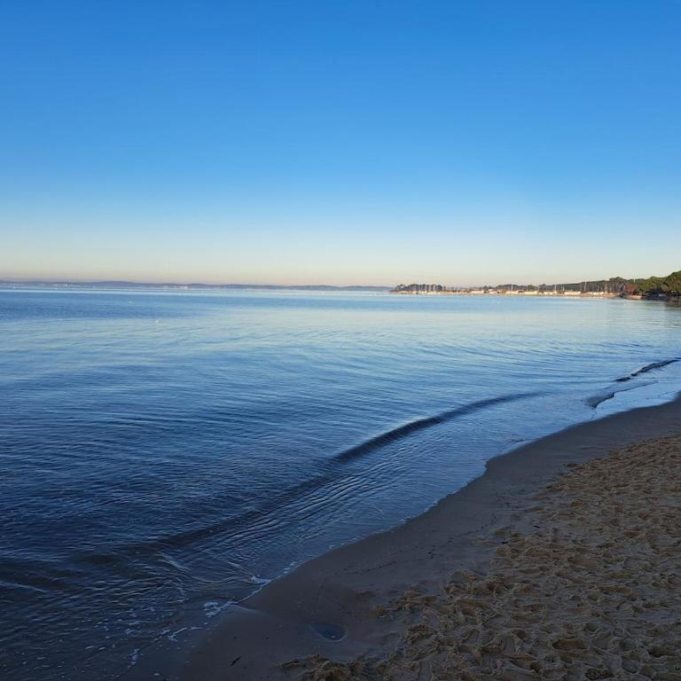 Le Flamboyant, central, plage & port - Apartamento de 2 dormitorios - 27