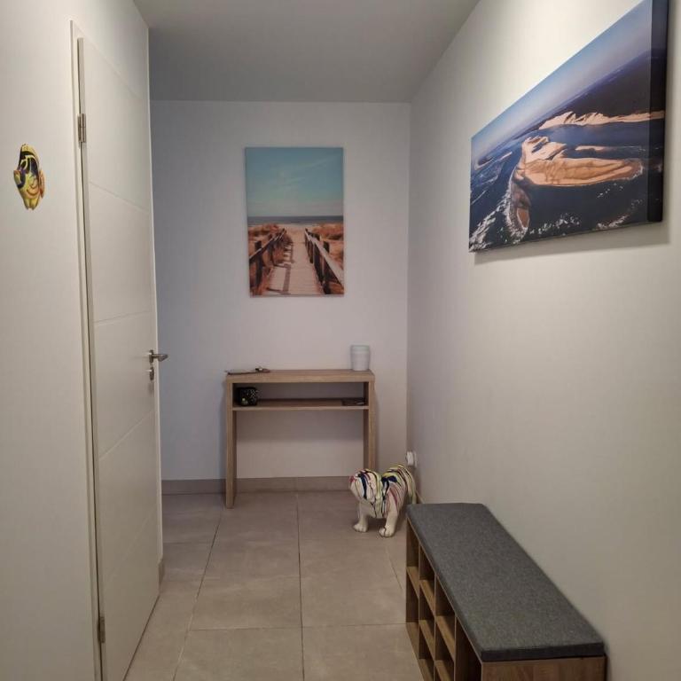 Le Flamboyant, central, plage & port - Apartamento de 2 dormitorios - 28