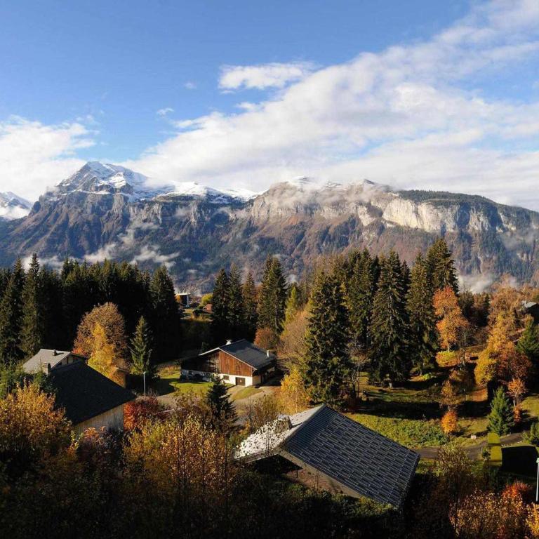 Chalet 3 chambres, 8 pers, terrasse sud, proche remontées, équipements complets - FR-1-572-216 - Chalet - 7