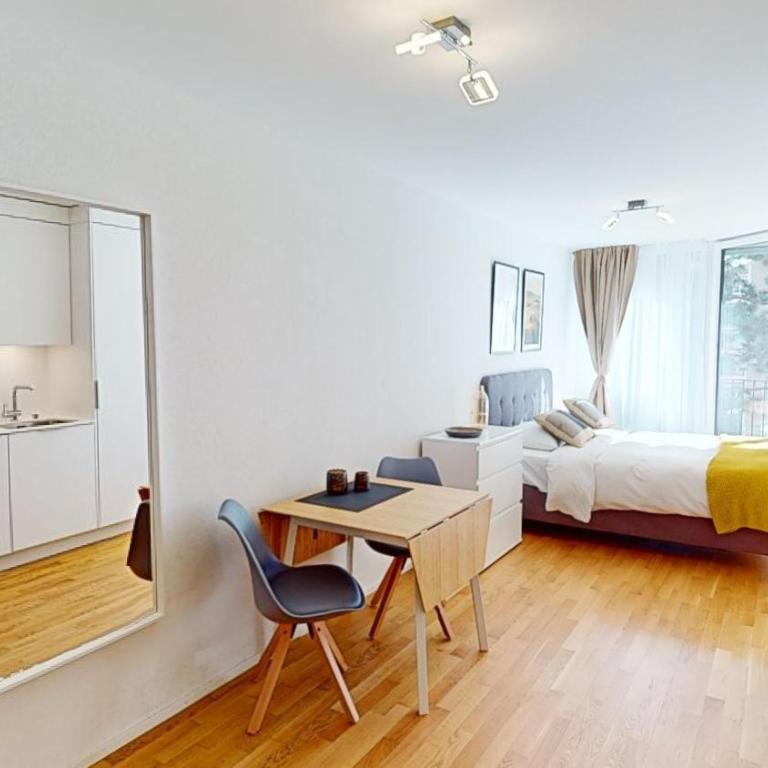 Lausanne City Center Apartments, Minutes Away from the Lake! AM53 - Deluxe Studio mit Queensize-Bett - 21
