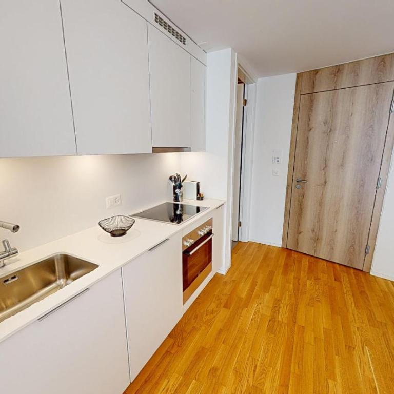Lausanne City Center Apartments, Minutes Away from the Lake! AM53 - Deluxe Studio mit Queensize-Bett - 14