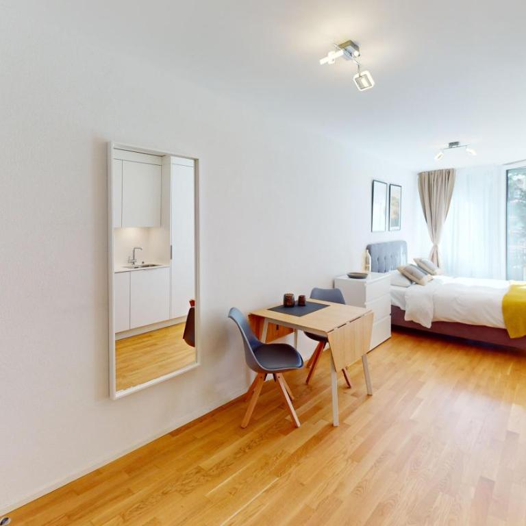 Lausanne City Center Apartments, Minutes Away from the Lake! AM53 - Deluxe Studio mit Queensize-Bett - 16