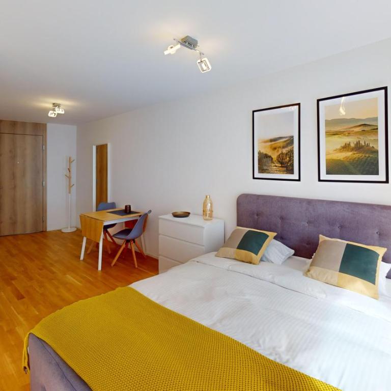 Lausanne City Center Apartments, Minutes Away from the Lake! AM53 - Deluxe Studio mit Queensize-Bett - 20