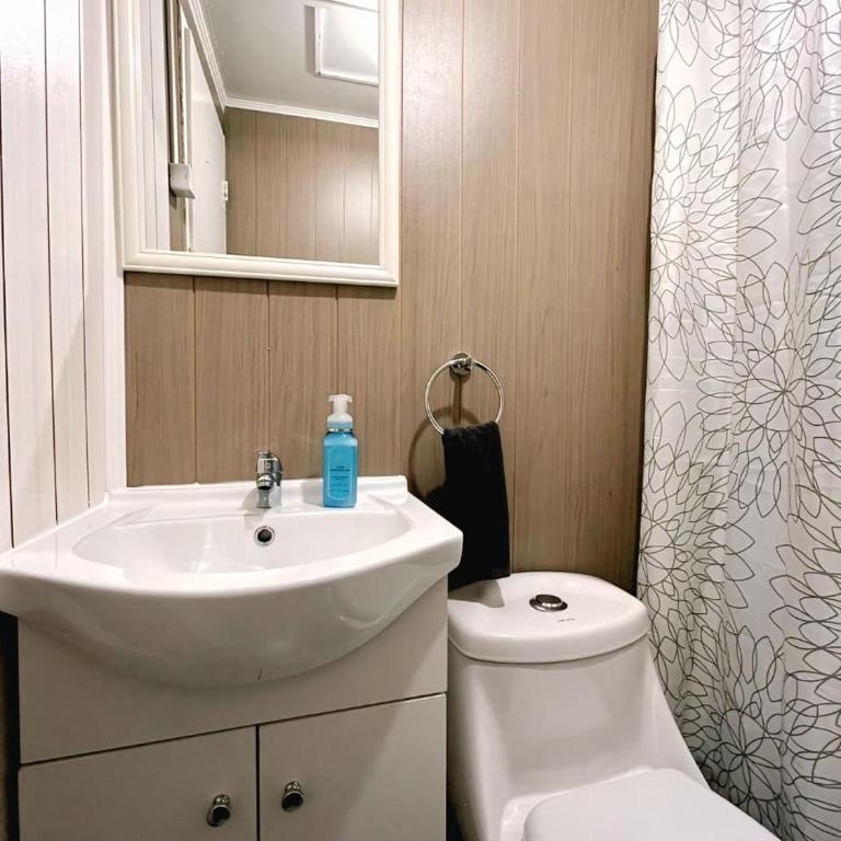 Casa Refugio Austral, cálida, full equipada, buen descansar y buena ubicacion - Three-Bedroom House - 9
